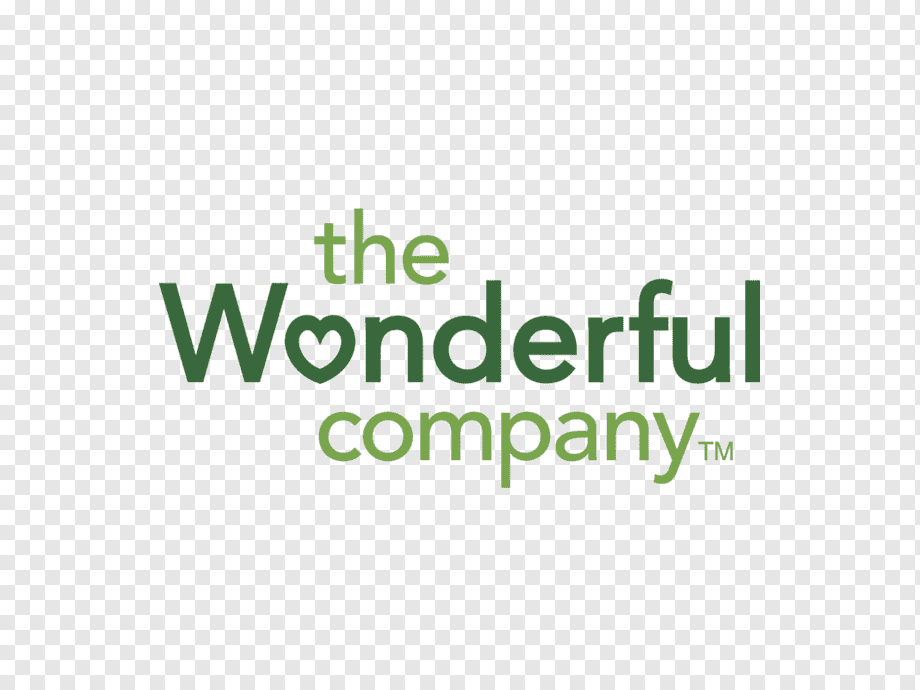 the  wonderful company logo